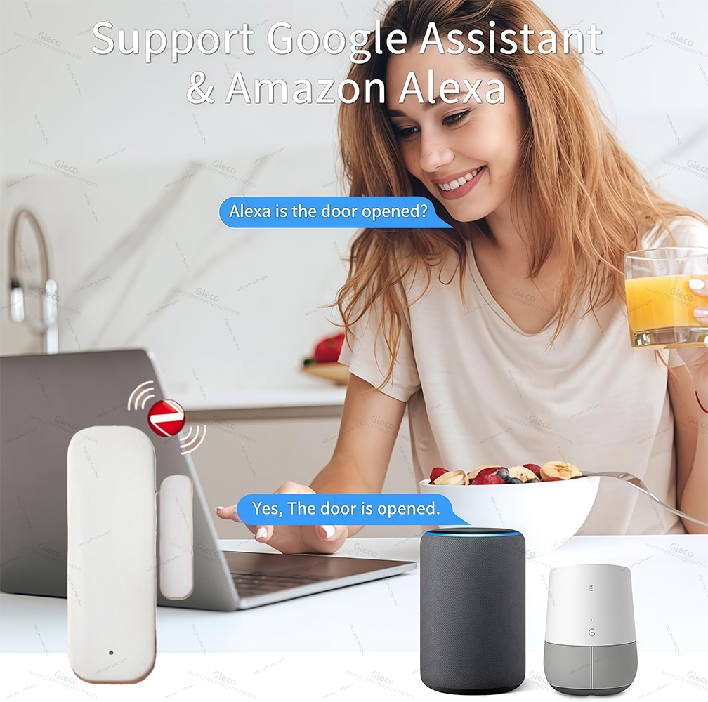 Sensor de puerta y ventana Zig - Home Security Tools reseña y precio